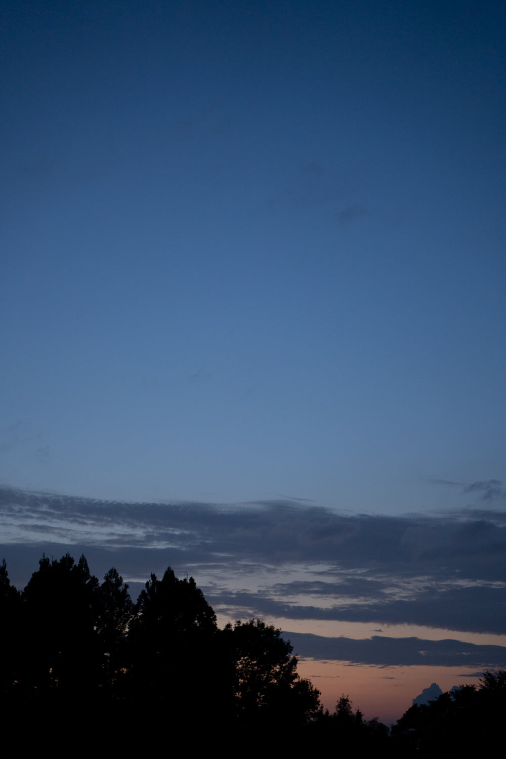 夏を迎えたSolitary