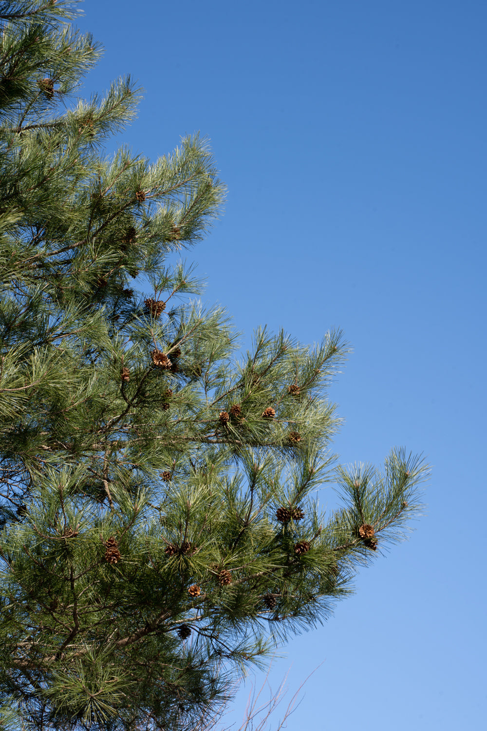 春の空気とともに