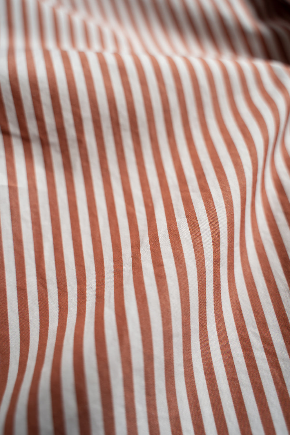 SH01B LEGGIUNO ボックスレギュラー2本針シャツ(BROWN STRIPE)