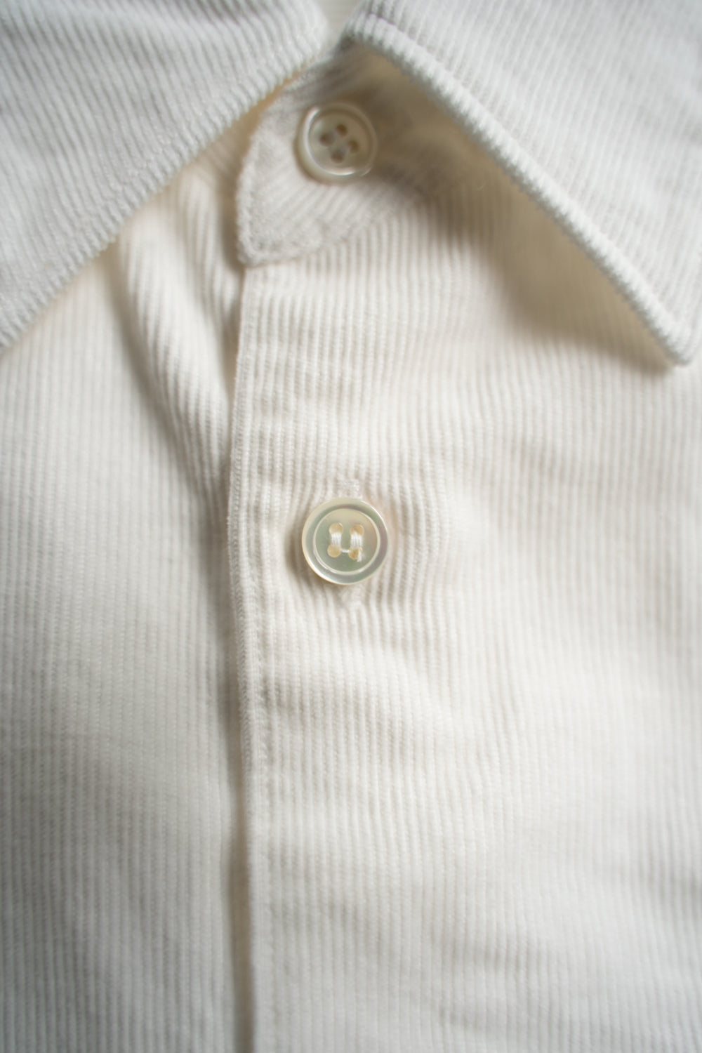 SH01B コーデュロイボックスレギュラーカラーシャツ(OFF WHITE)