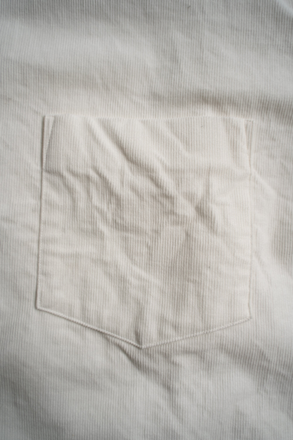 SH01B コーデュロイボックスレギュラーカラーシャツ(OFF WHITE)