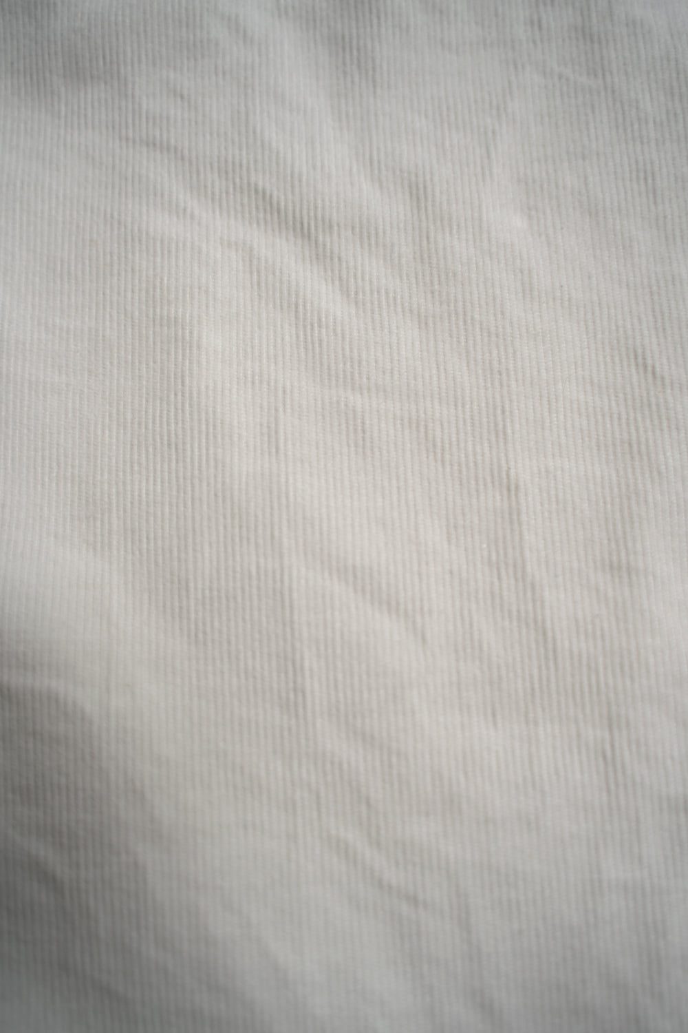 SH01B コーデュロイボックスレギュラーカラーシャツ(OFF WHITE)