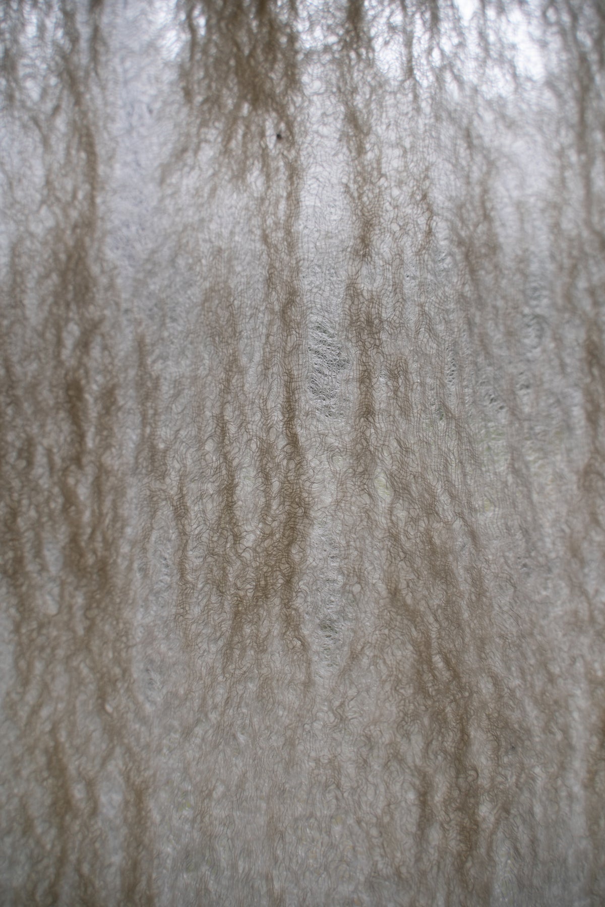 【ラスト1点】Cashmere Silk Stole "ROSSINI" (AS SAMPLE)