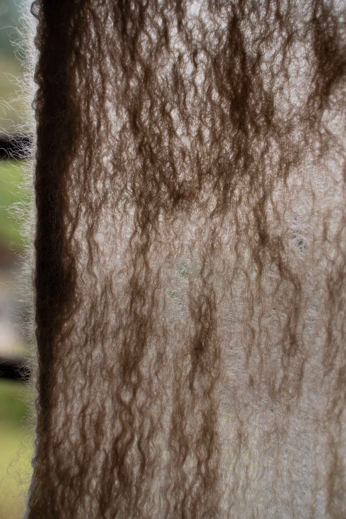 【ラスト1点】Cashmere Silk Stole "ROSSINI" (AS SAMPLE)