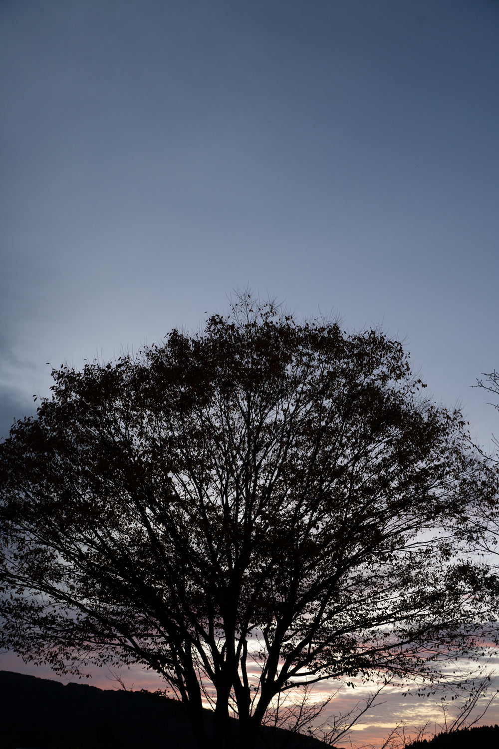 刹那のように過ぎた1年