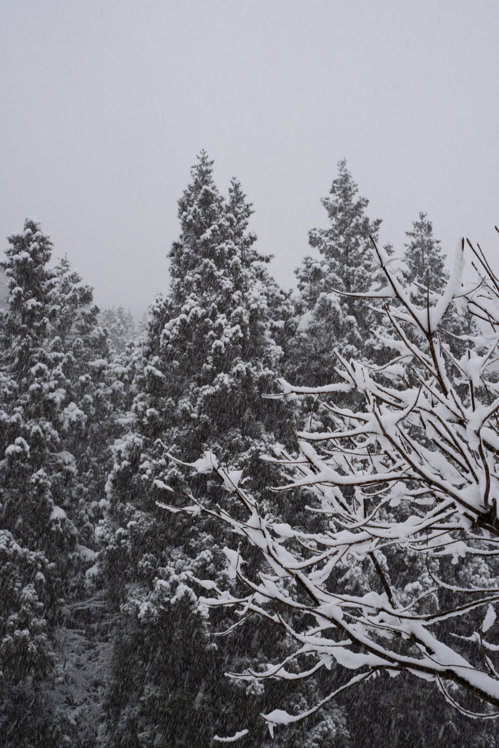 空の顔色が変わる日は
