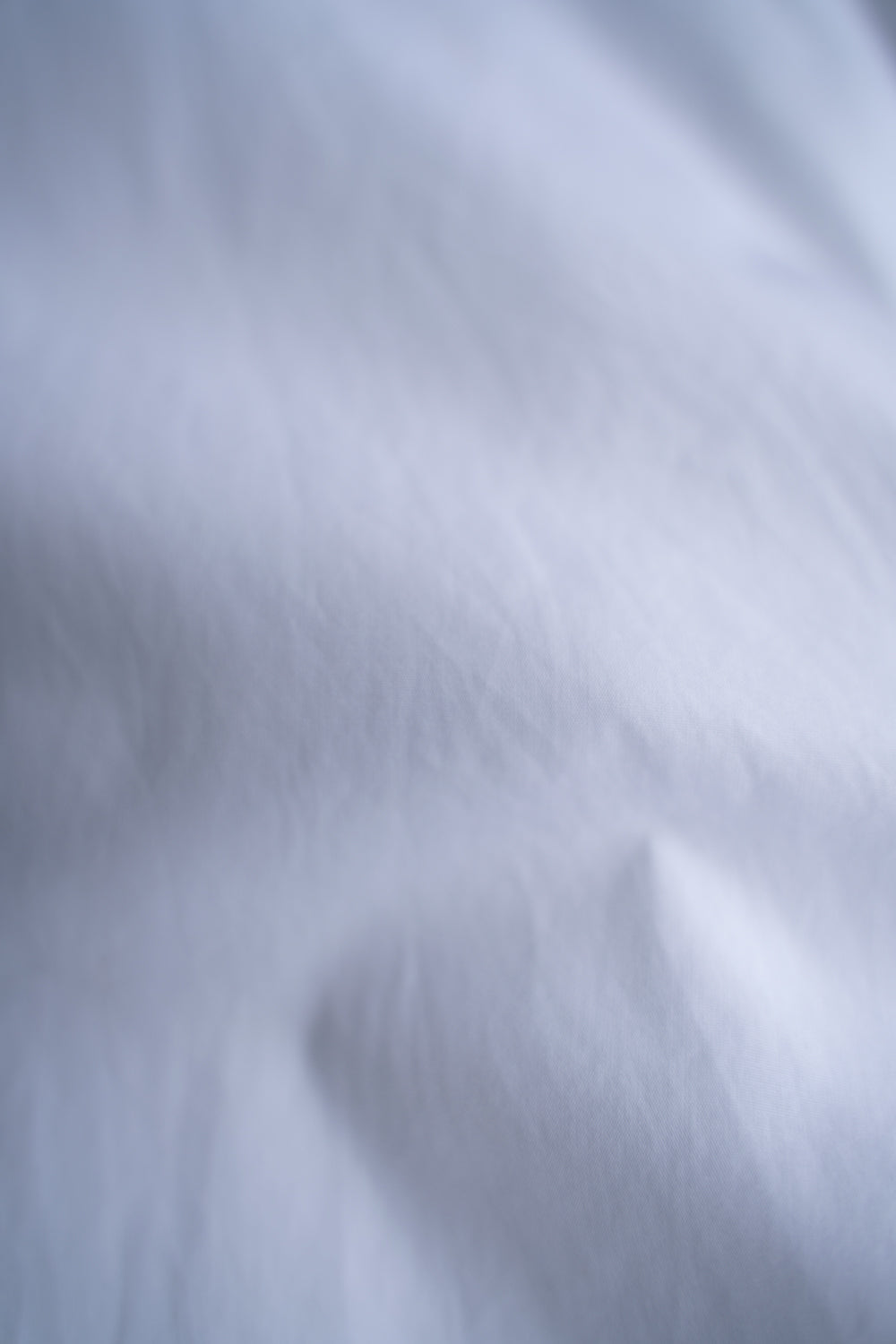 DJA GIZA45 Poplin Modernist（PURE WHITE）