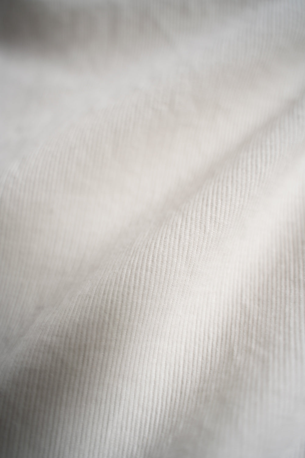 SH01B コーデュロイボックスレギュラーカラーシャツ（OFF WHITE）