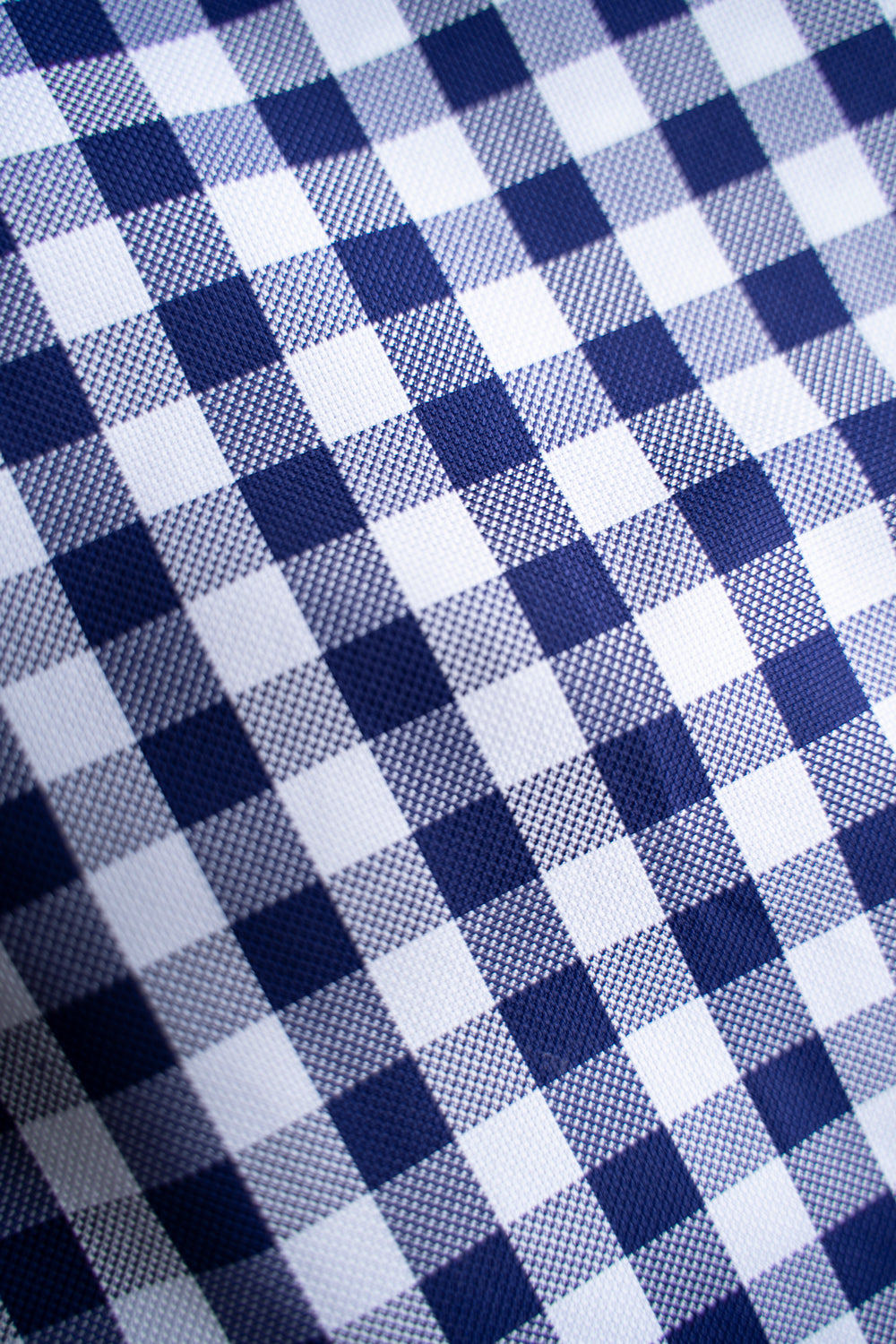 SH01B THOMAS MASON Royal Ox Gingham レギュラーカラーシャツ（NAVY）