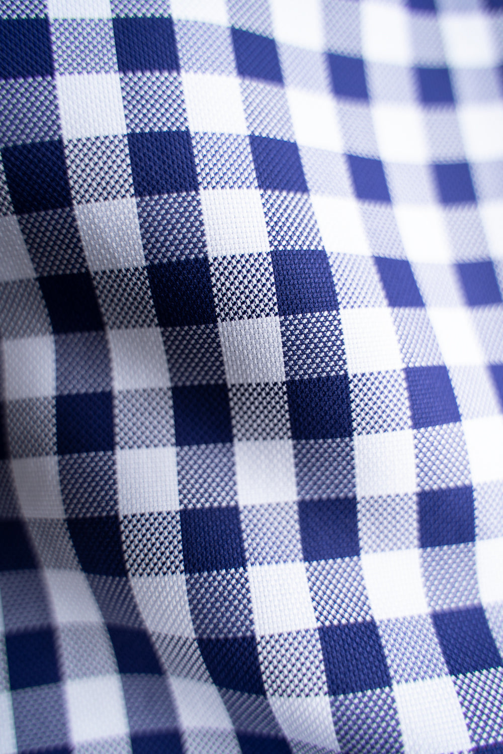 SH01B THOMAS MASON Royal Ox Gingham レギュラーカラーシャツ（NAVY）