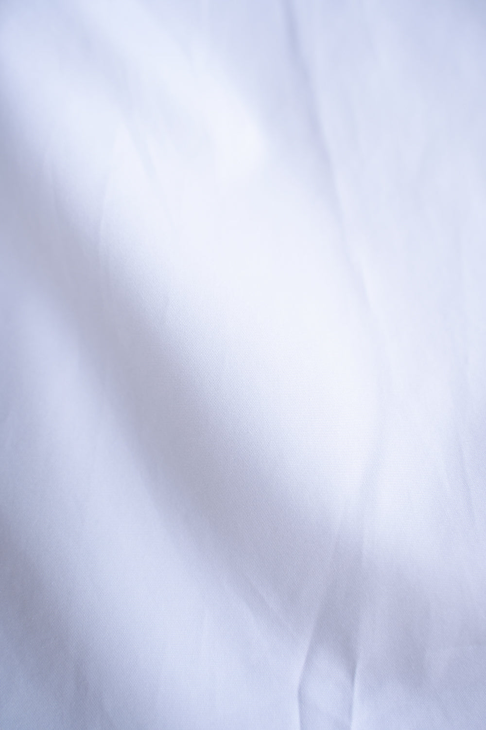 SH01B ボックスレギュラー半袖シャツ（WHITE）